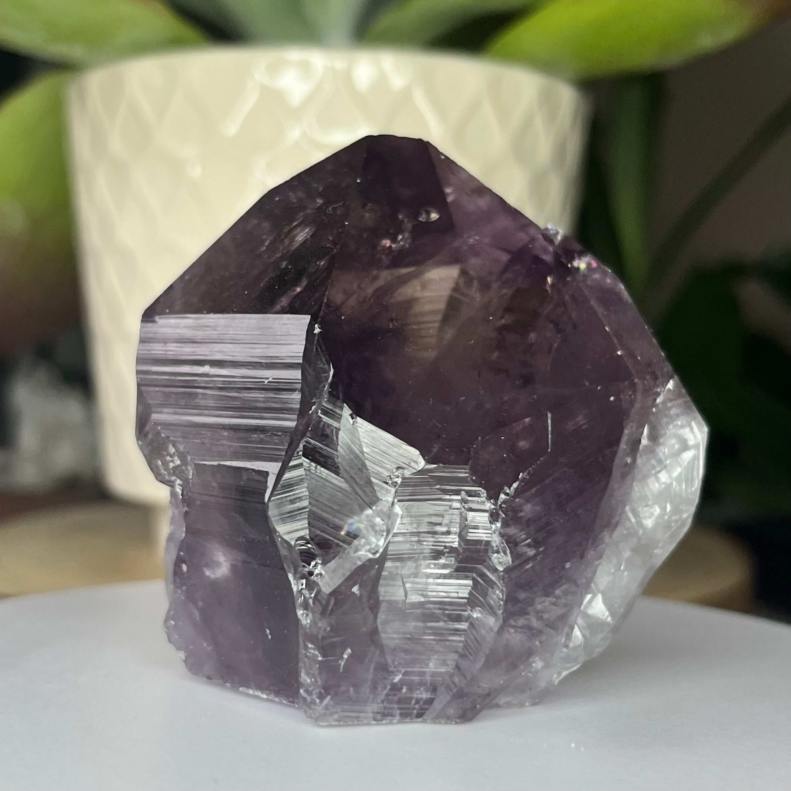 Amethyst Cut Base Point -Spiritual Wisdom & Comfort 3- 6.3cm x 6.3cm Crystals