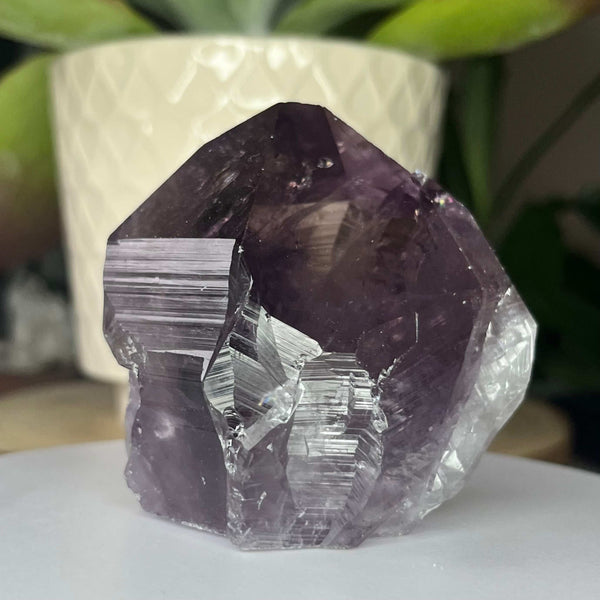 Amethyst Cut Base Point -Spiritual Wisdom & Comfort 3- 6.3cm x 6.3cm Crystals