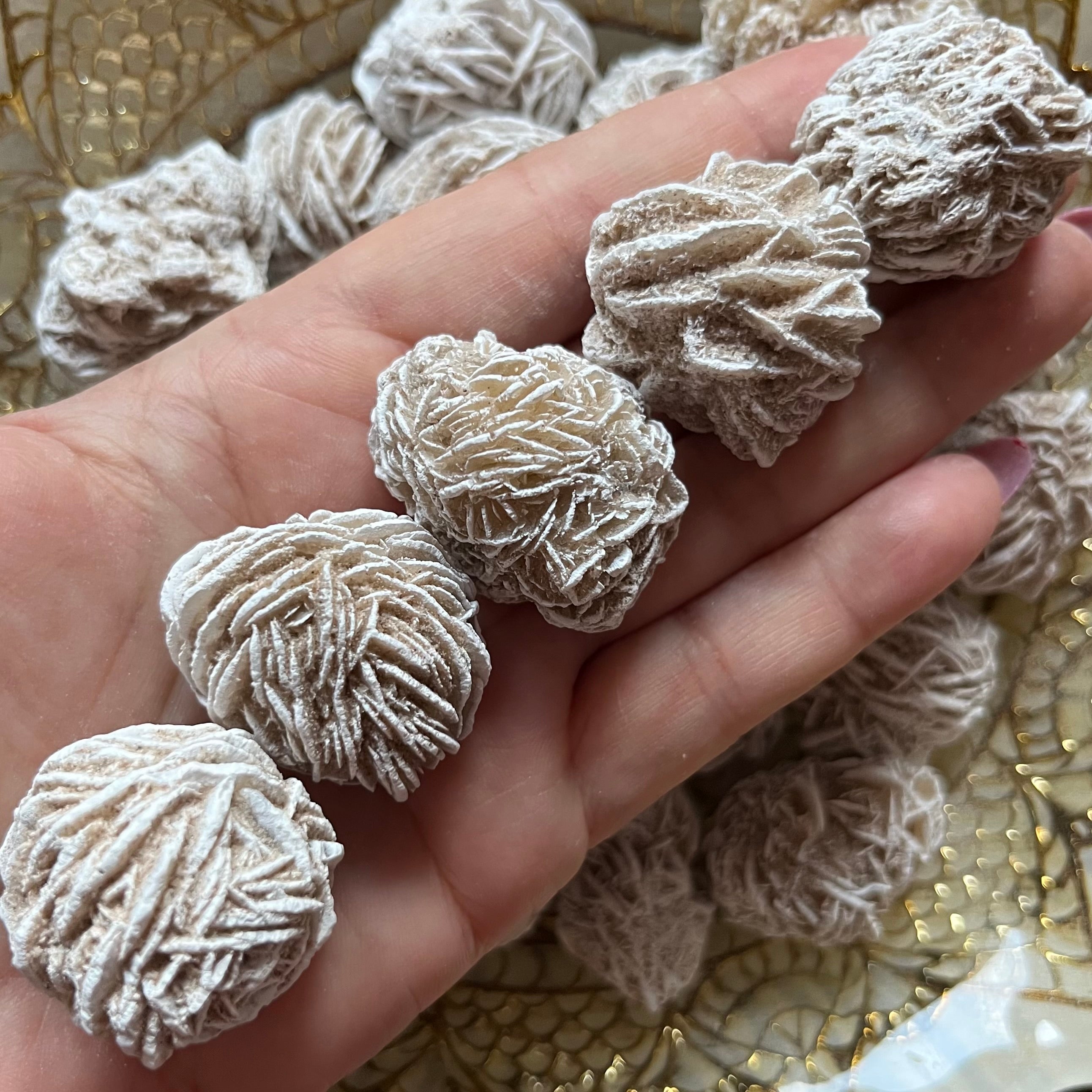 Desert Rose - Perseverance & Mental Clarity Medium Crystals