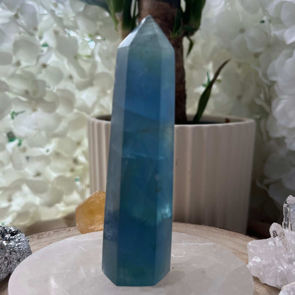 Blue Fluorite Point Crystals
