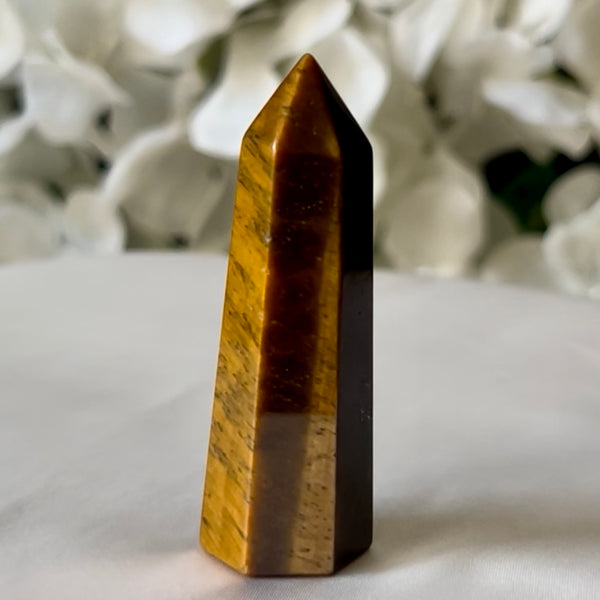 Tiger Eye Point - Courage & Protection 1- 4cm (A Grade) Crystals