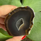 Natural Agate Cut Base Geode - Balance & Harmony Crystals
