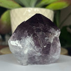 Amethyst Cut Base Point -Spiritual Wisdom & Comfort Crystals