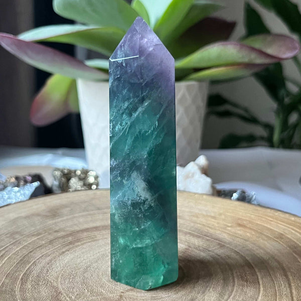 Fluorite Polished Point - Intuition & Protection Crystals