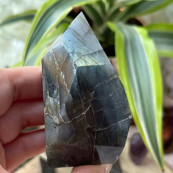 Labradorite Faceted Freeform - Magic & Clairvoyance 3- 7.5cm x 4.3cm Crystals