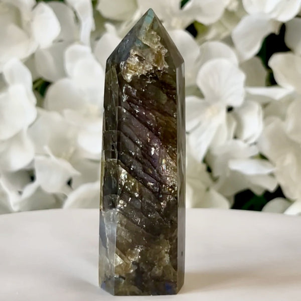 Labradorite Polished Point - Magic & Clairvoyance Crystals