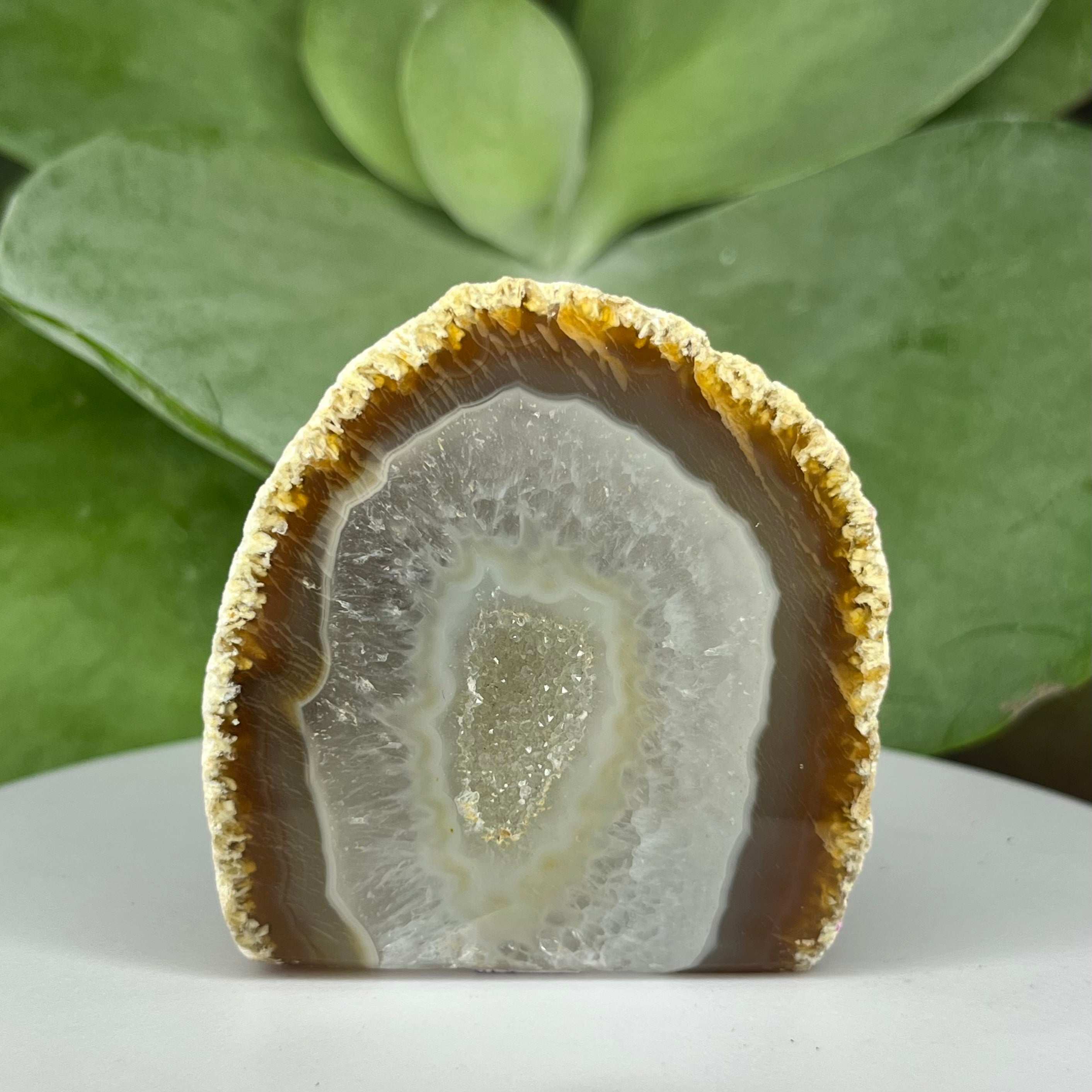 Natural Agate Cut Base Geode - Balance & Harmony 2- 5.5cm x 5.4cm Crystals