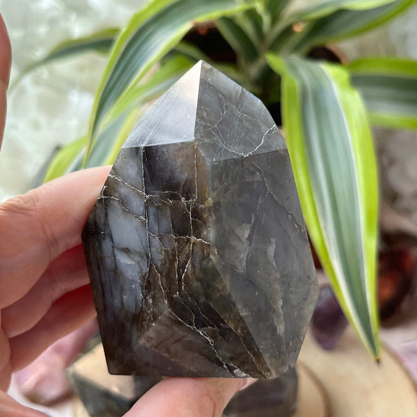 Labradorite Faceted Freeform - Magic & Clairvoyance Crystals