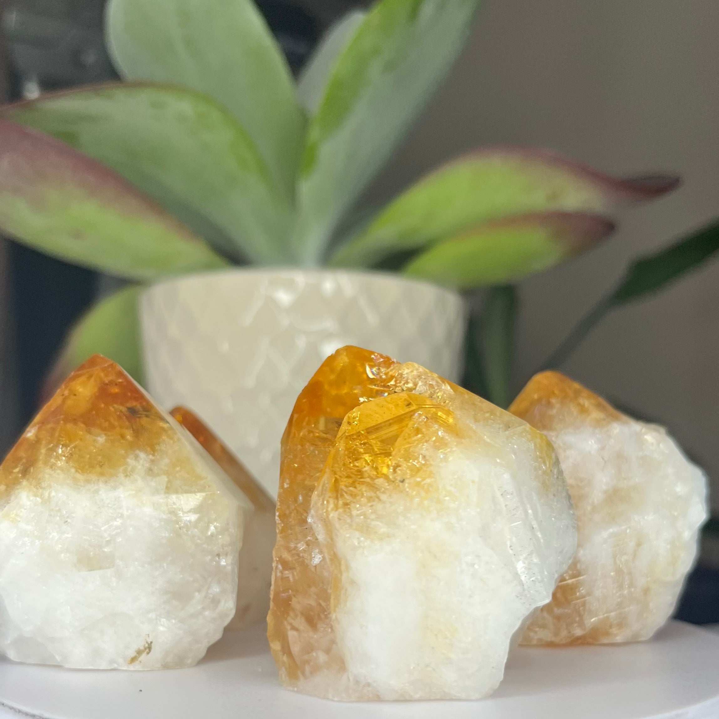 Citrine Cut Base Point (Heat Treated) - Abundance & Success Crystals
