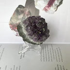 Amethyst Drusy Clusters (Uruguay) - Spirituality & Transmutation