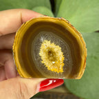 Natural Agate Cut Base Geode - Balance & Harmony Crystals