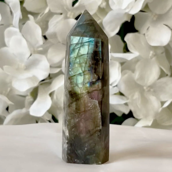Labradorite Polished Point - Magic & Clairvoyance 3- 8cm x 2.5cm Crystals