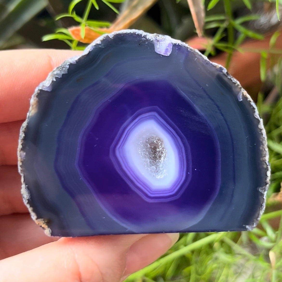 Purple Agate Cut Base Geode - Stability & Courage