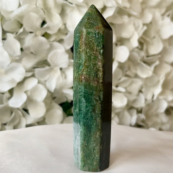 Green Fuchsite Polished Point Crystals