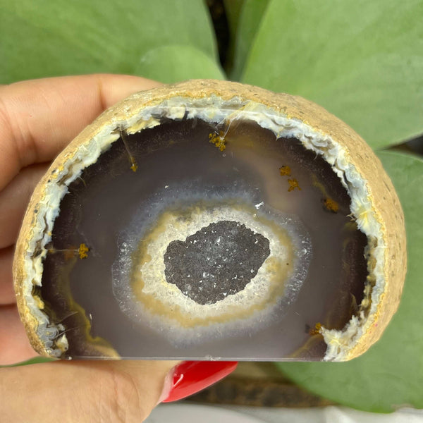 Natural Agate Cut Base Geode - Balance & Harmony Crystals