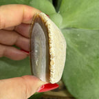 Natural Agate Cut Base Geode - Balance & Harmony Crystals