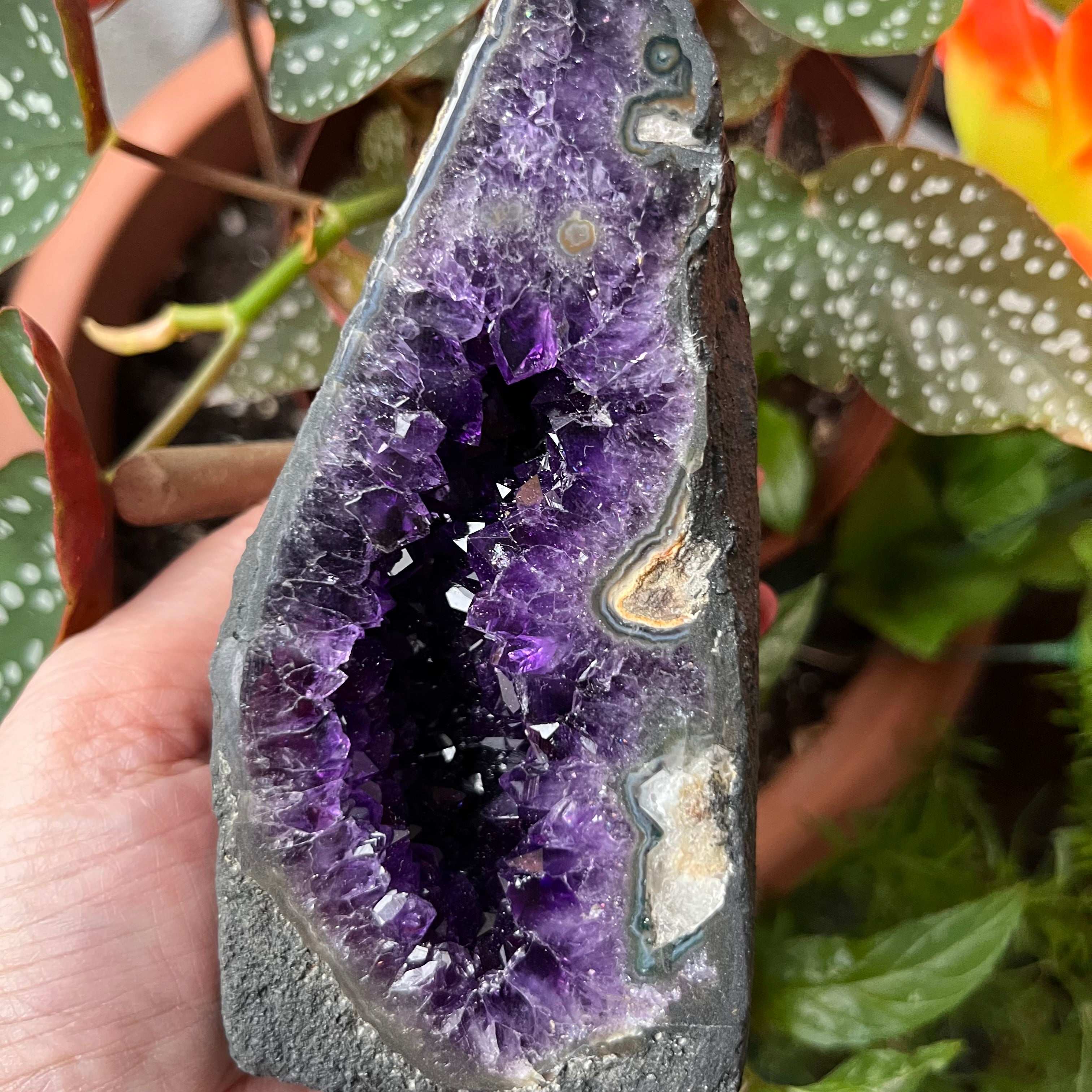 Amethyst Mini Church Crystals