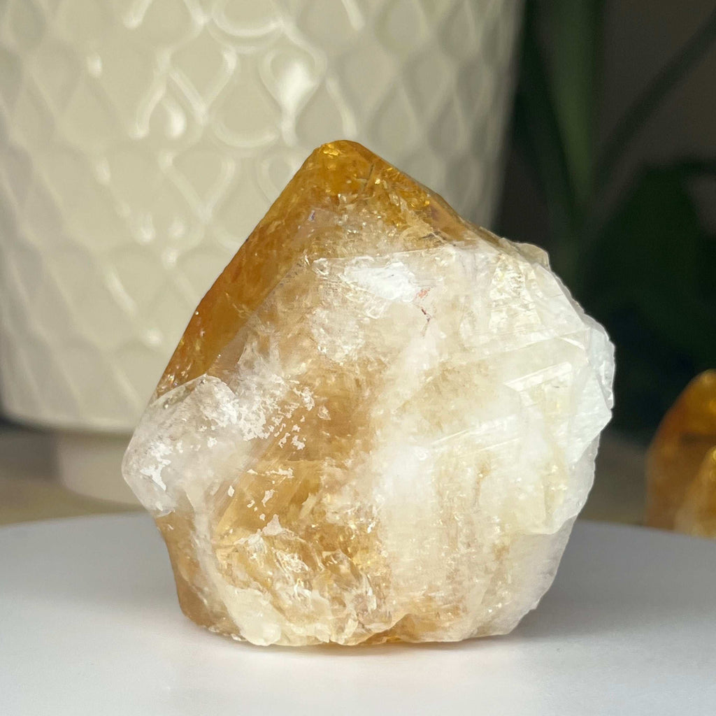 Citrine Cut Base Point (Heat Treated) - Abundance & Success Crystals