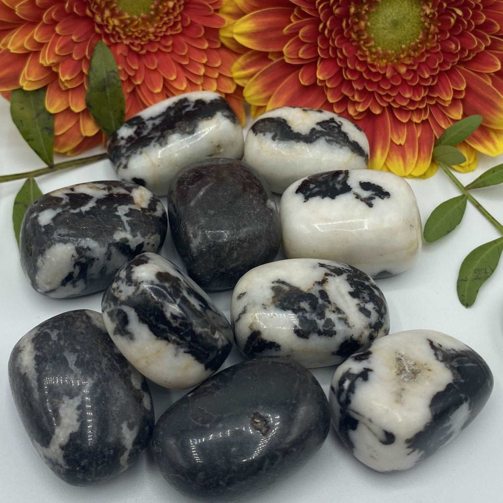 Black Zebra Agate Tumblestones - Balance & Physical Energy Crystals
