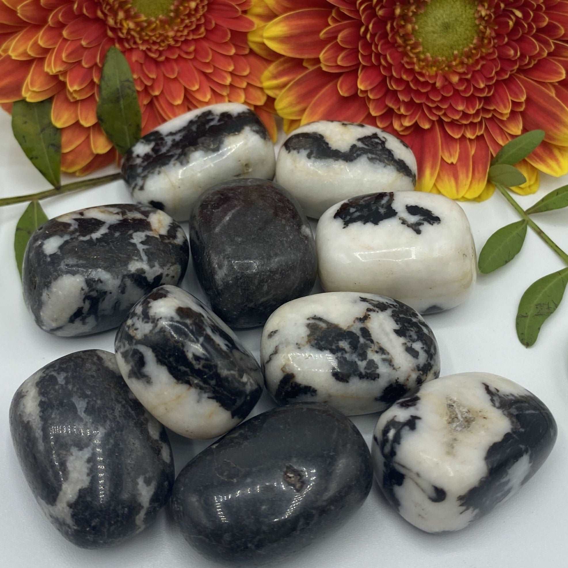 Black Zebra Agate Tumblestones - Balance & Physical Energy Crystals