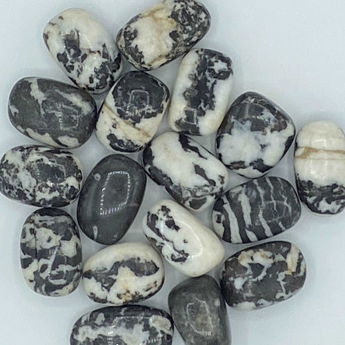 Black Zebra Agate Tumblestones - Balance & Physical Energy Medium Crystals