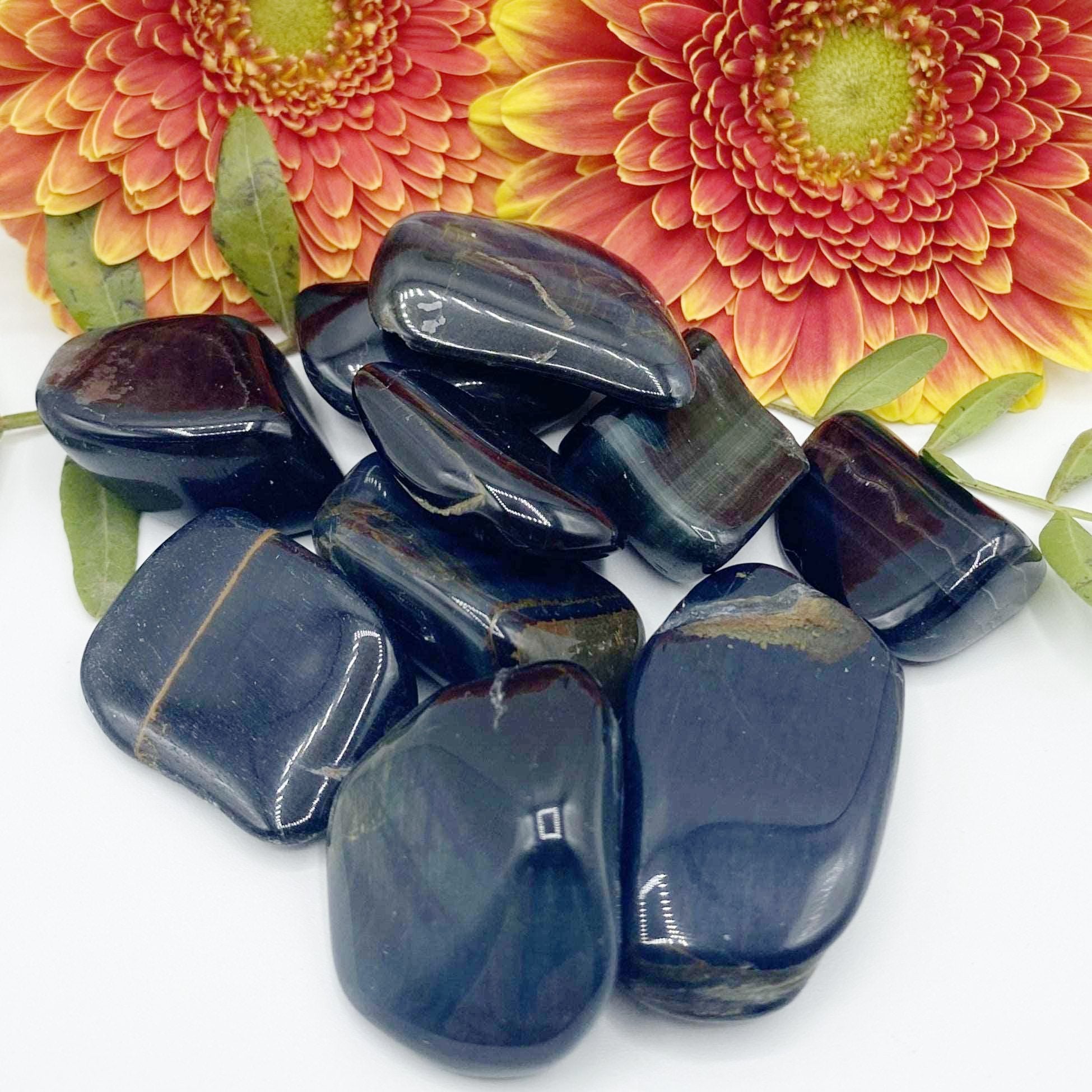 Blue Tiger's Eye (Hawk's Eye) Tumblestones - Communication & Serenity Large Crystals