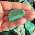 Rough Malachite Chunk - Balance & Vitality 21g - 30g Crystals