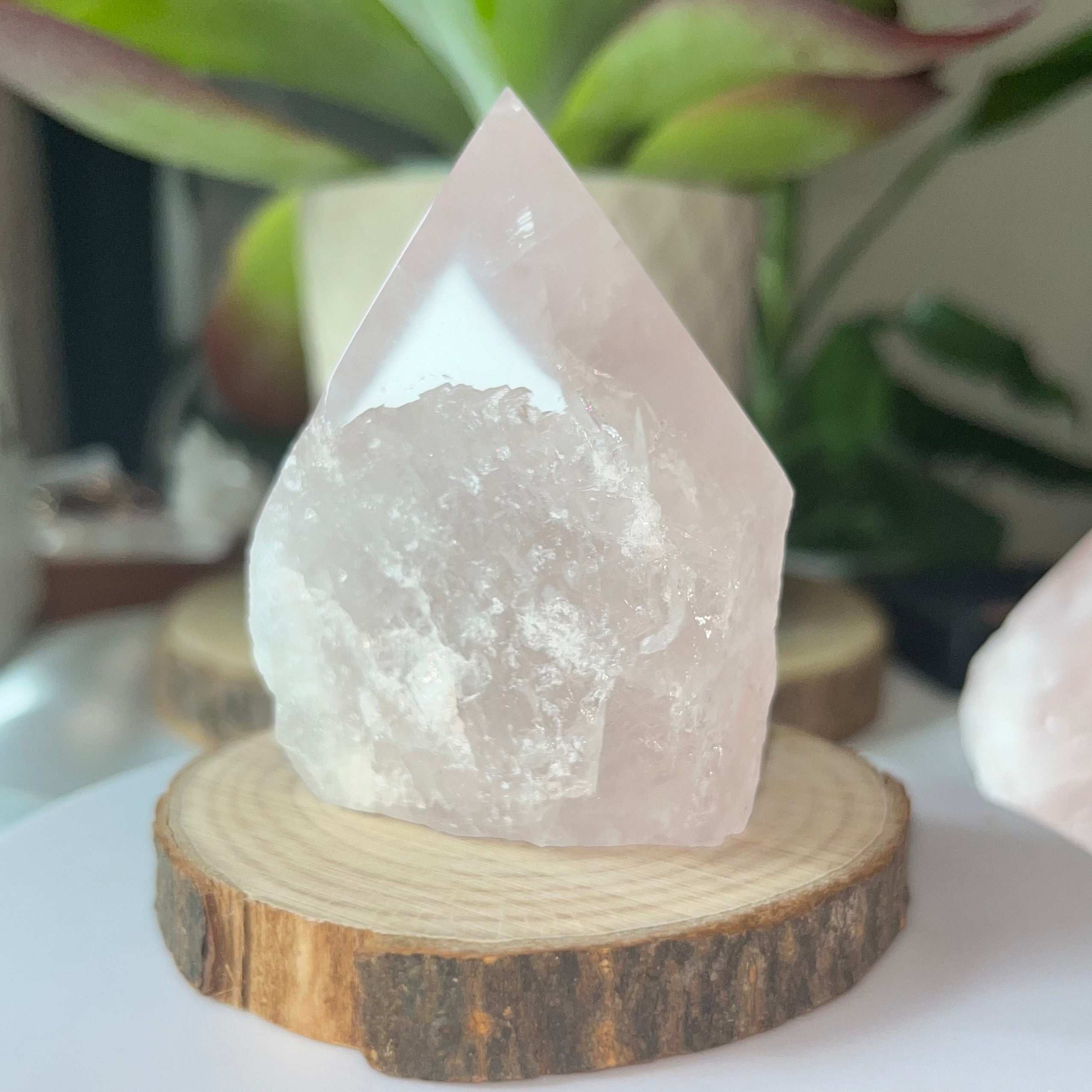 Rose Quartz Cut Base Point - Unconditional Love Crystals