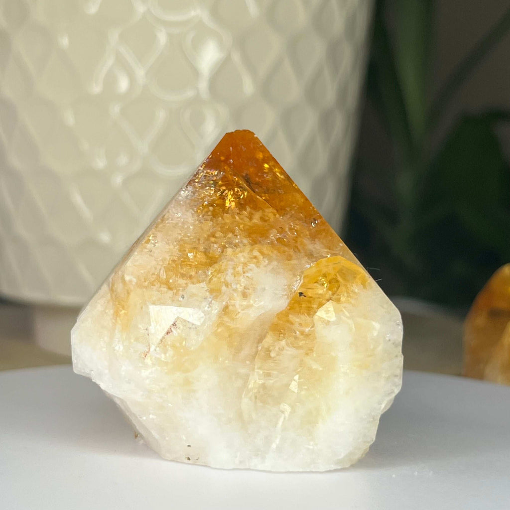 Citrine Cut Base Point (Heat Treated) - Abundance & Success Crystals