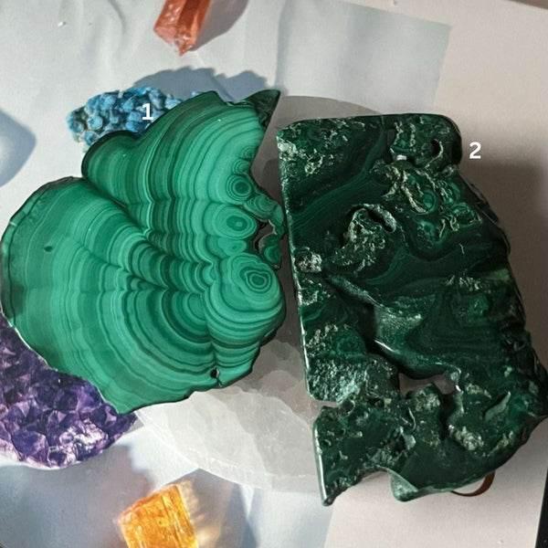 Malachite Slice - Courage & Vitality Crystals