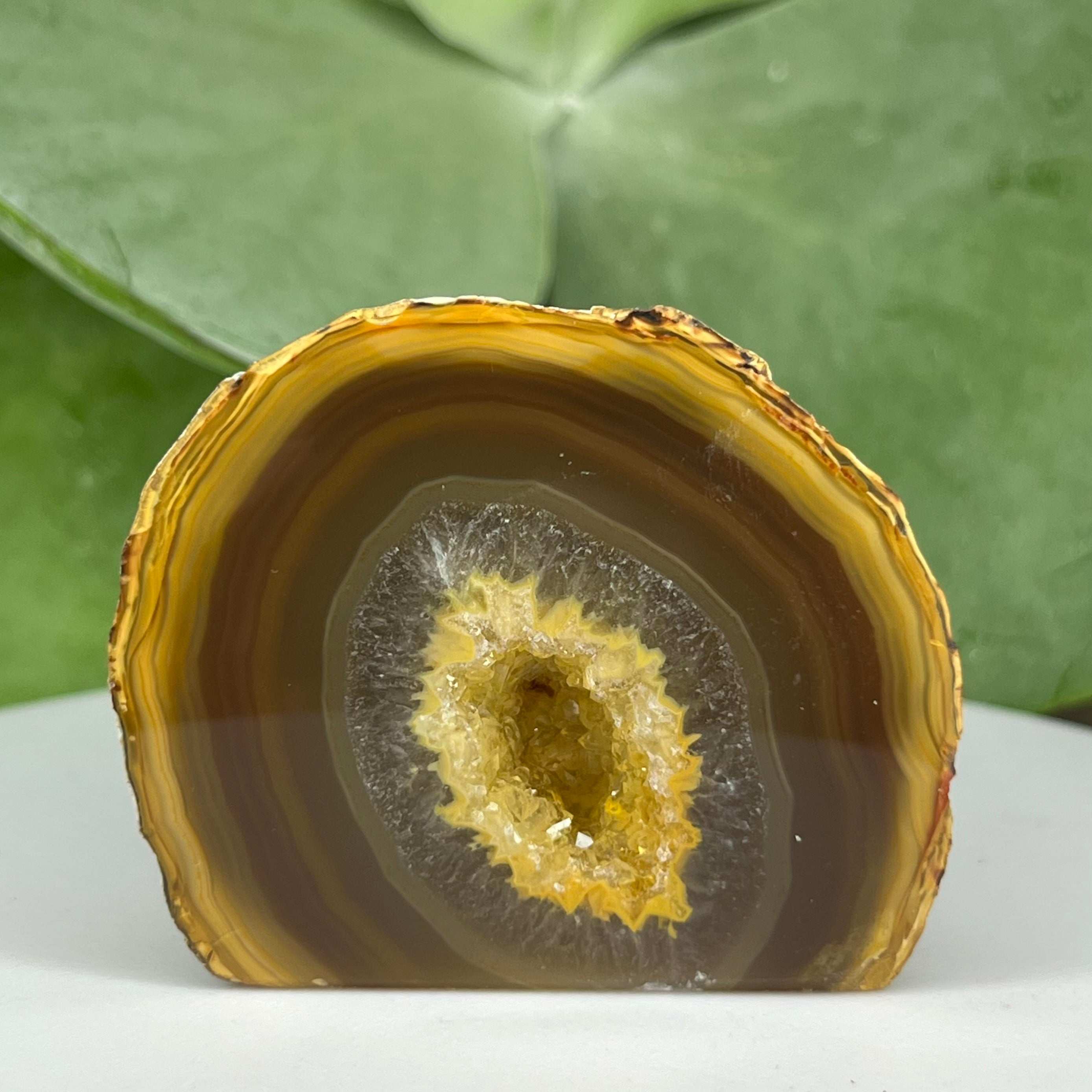Natural Agate Cut Base Geode - Balance & Harmony 1- 4.3cm x 5.1cm Crystals