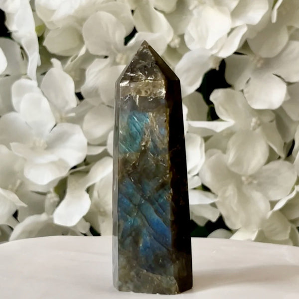 Labradorite Polished Point - Magic & Clairvoyance Crystals