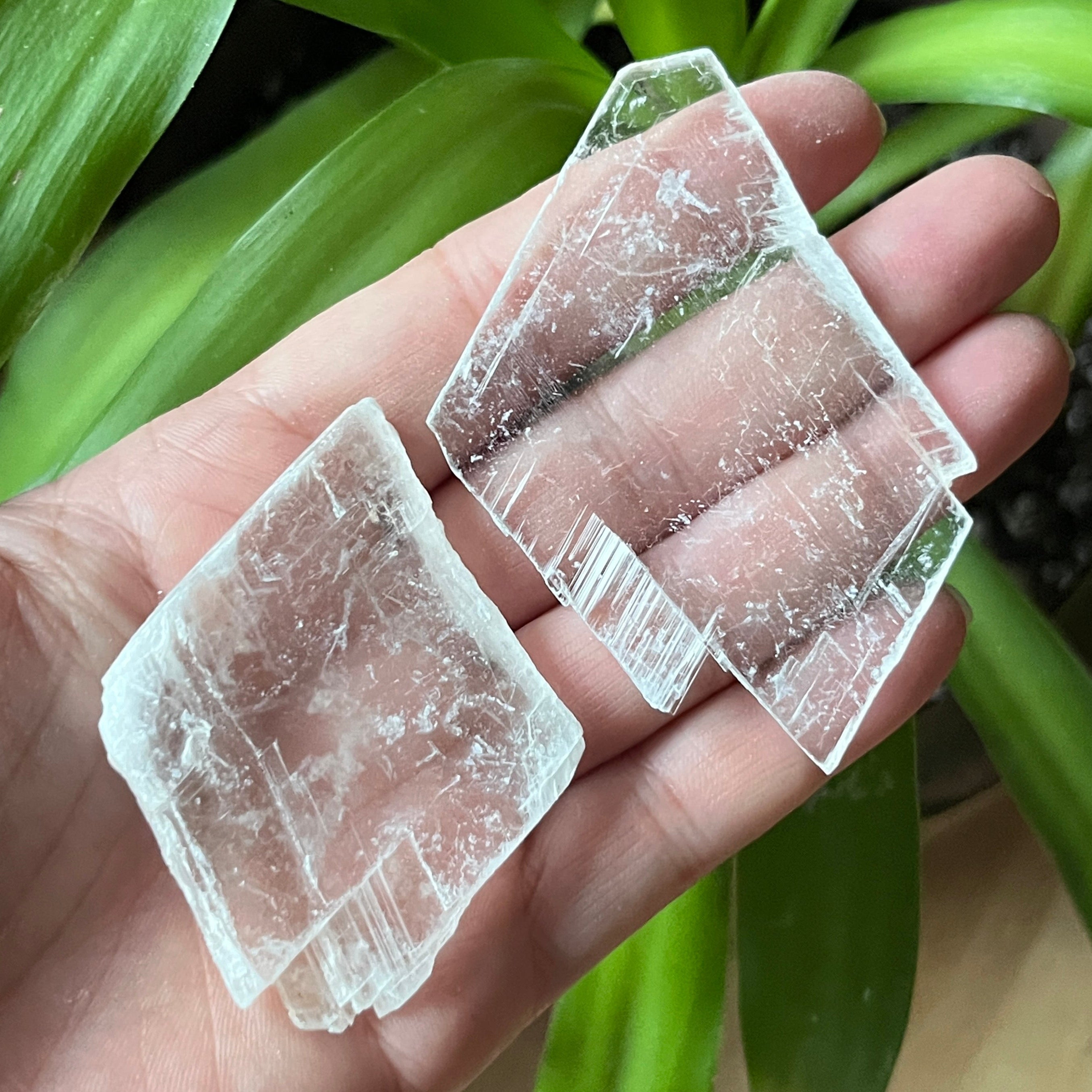 Rough Selenite Gypsum - Cleansing & Purification