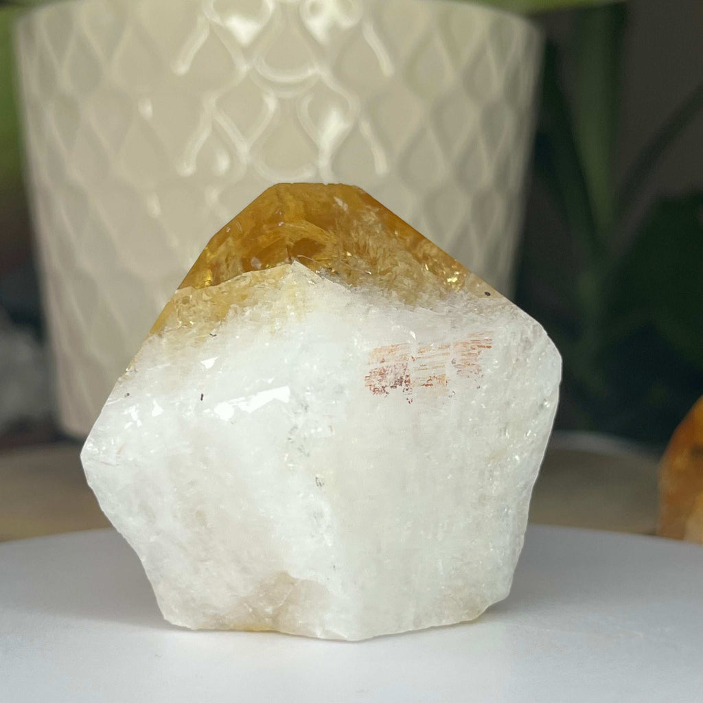 Citrine Cut Base Point (Heat Treated) - Abundance & Success Crystals