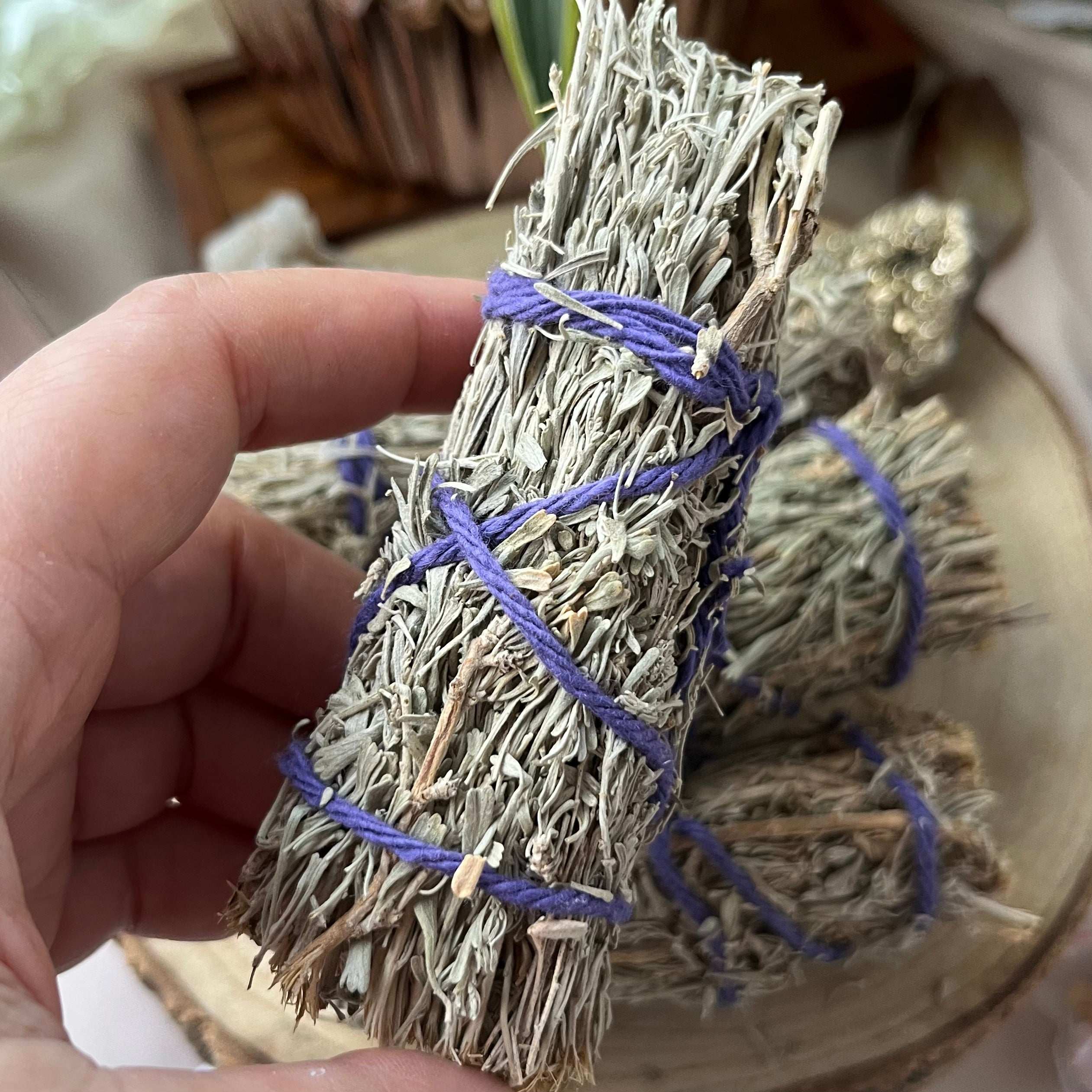 Desert Sage Smudge Stick Incense