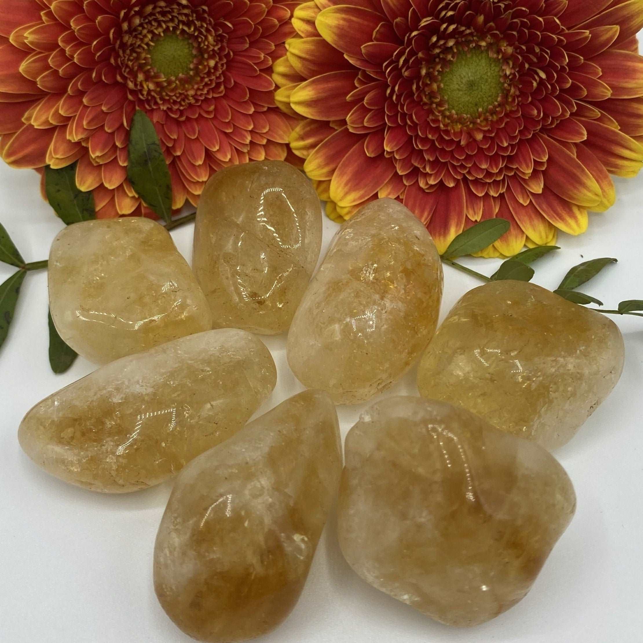 Citrine Tumblestones (Heat Treated) - Abundance & Success Large (A Grade) Crystals
