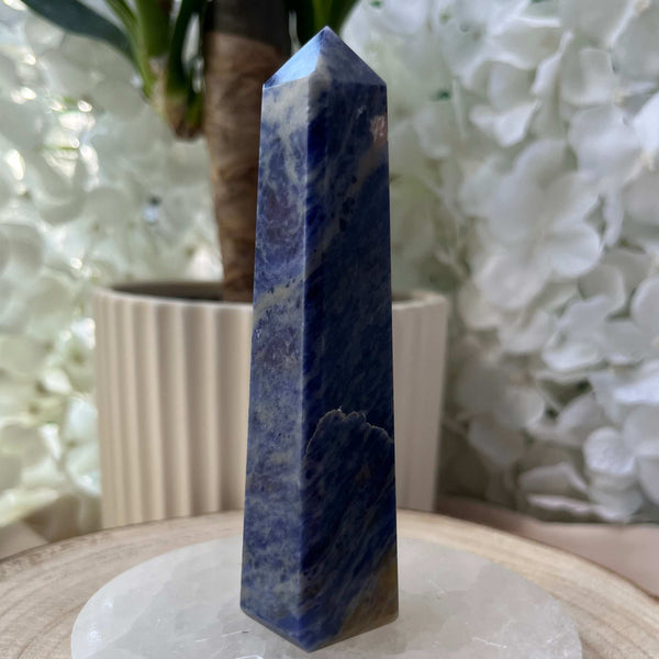 Sodalite Obelisk - Wisdom & Guidance 2- 11cm Crystals