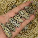 Dalmatian Jasper Tumblestones - Joy & Lightness Medium Crystals