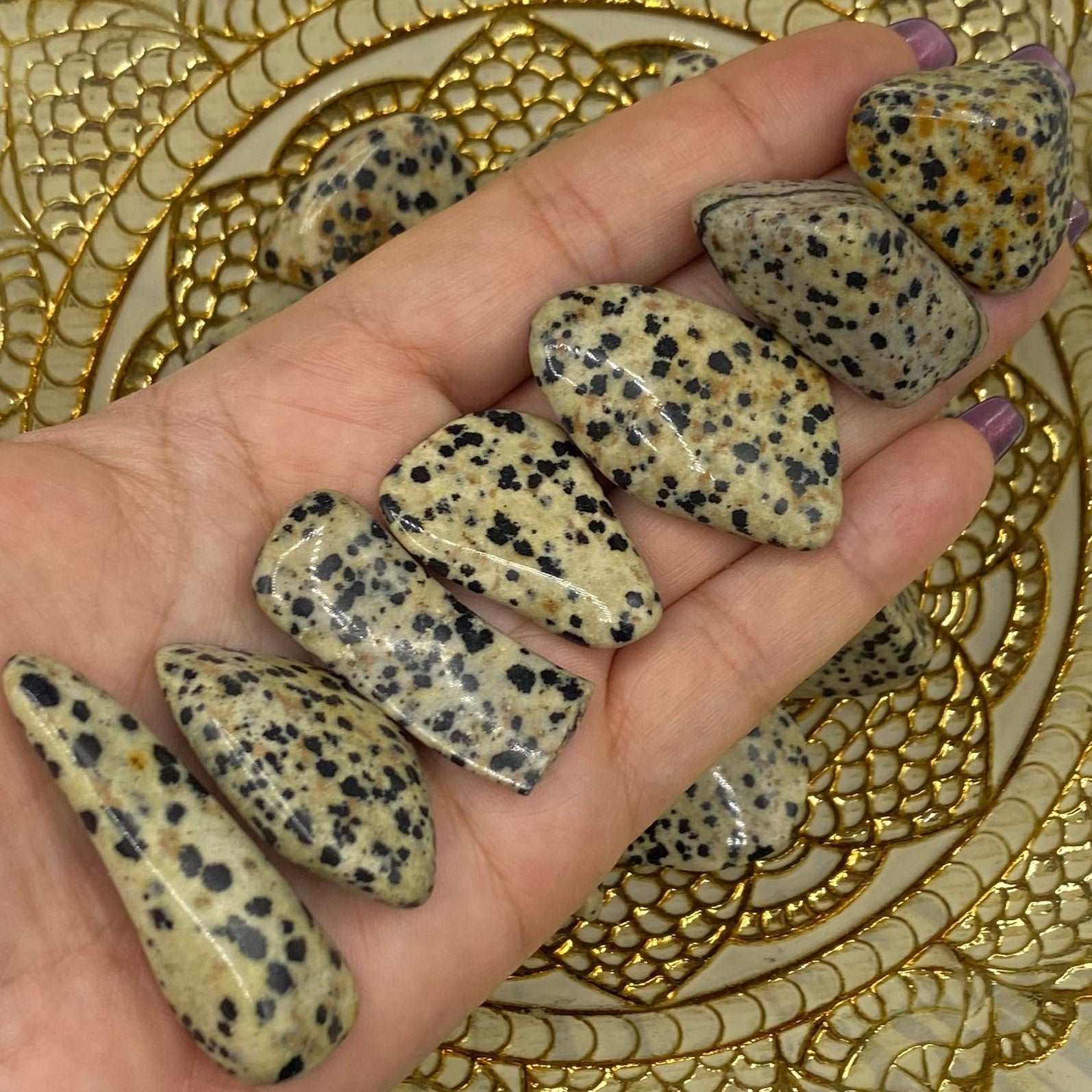 Dalmatian Jasper Tumblestones - Joy & Lightness Medium Crystals