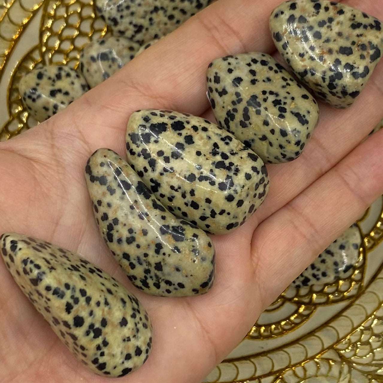 Dalmatian Jasper Tumblestones - Joy & Lightness Large Crystals