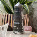 Moss Agate Obelisk- Optimism & Courage Crystals