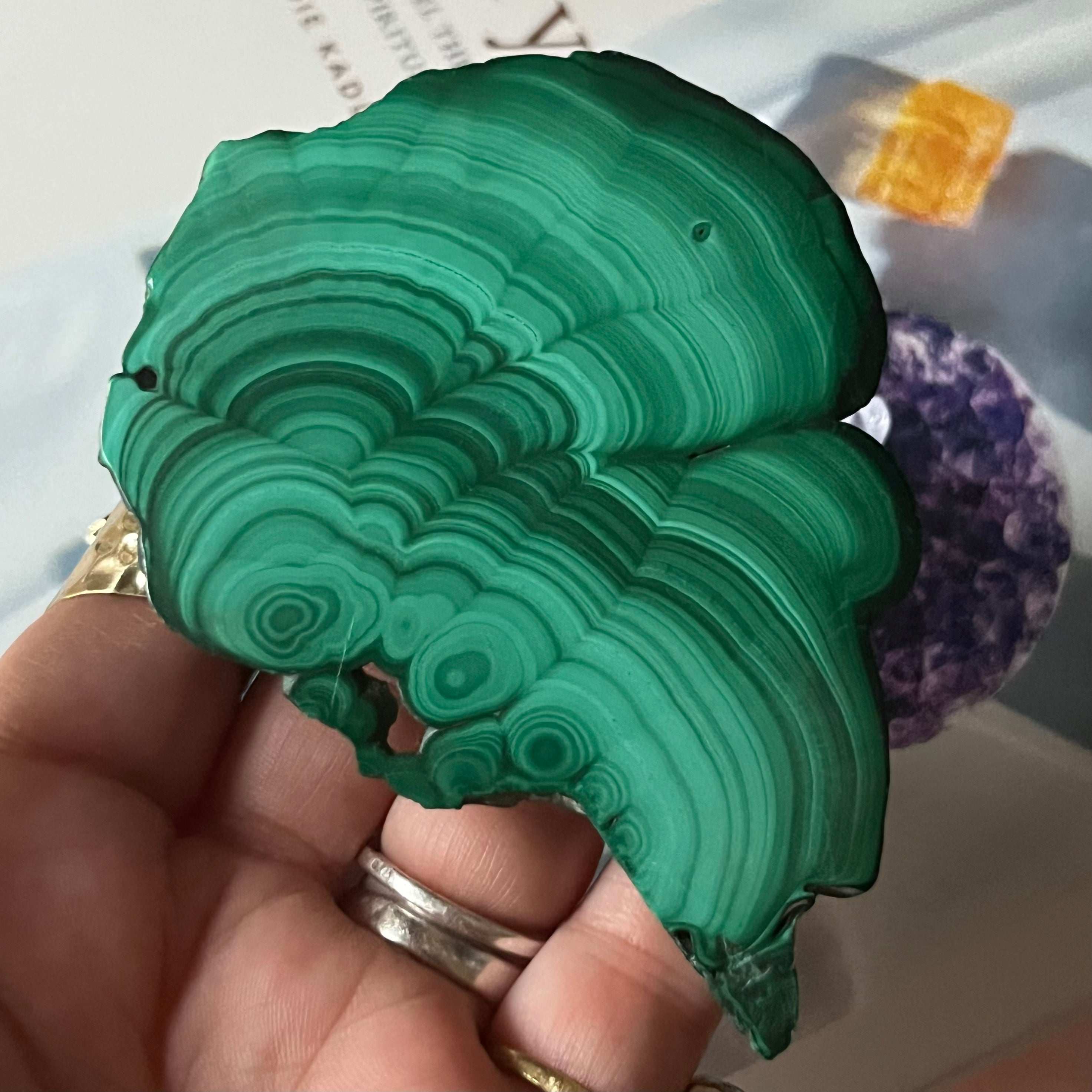 Malachite Slice - Courage & Vitality Crystals