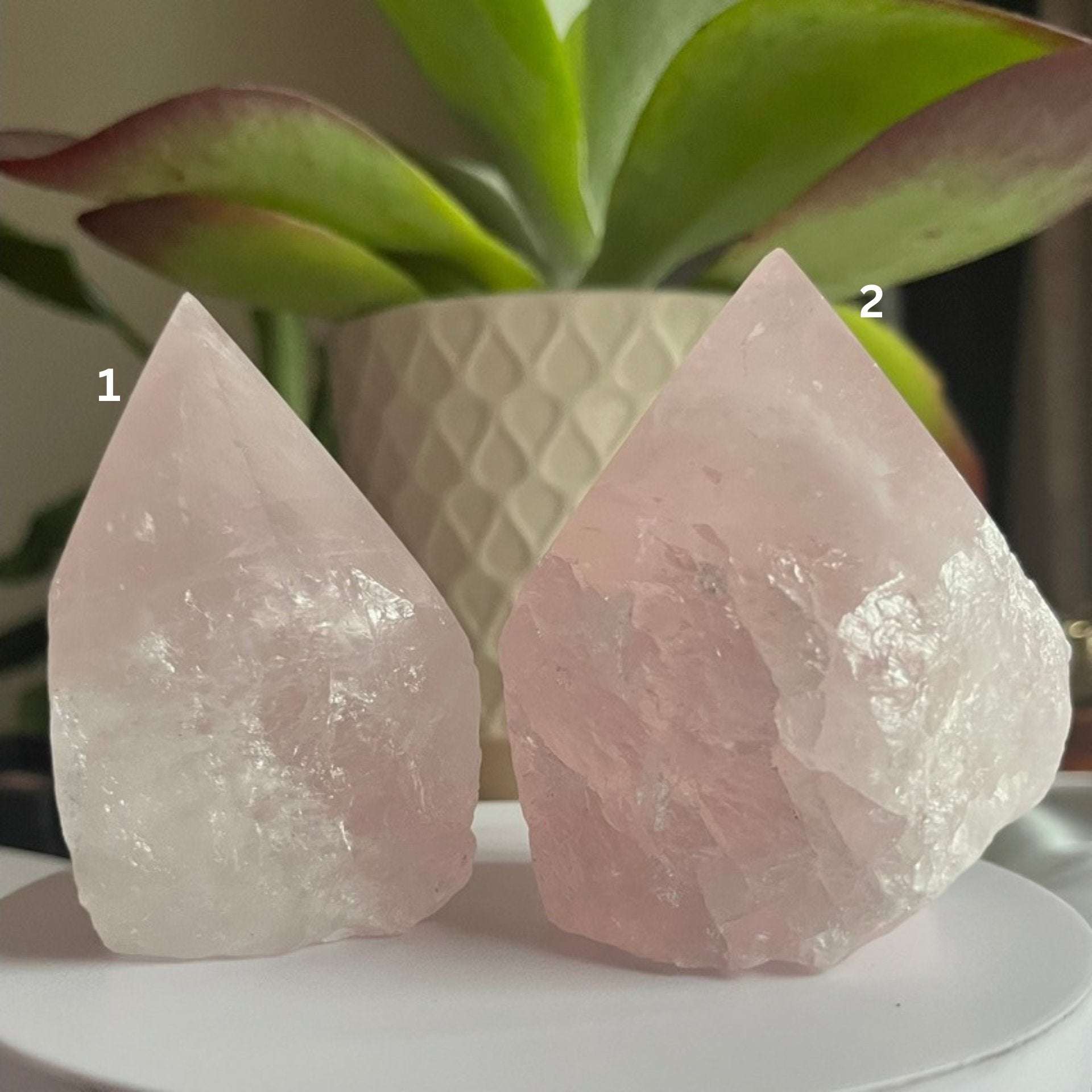 Rose Quartz Cut Base Point - Unconditional Love Crystals