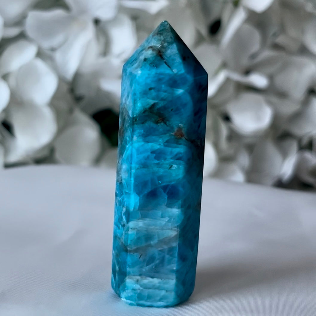 Blue Apatite Point - Intuition & Enlightenment Crystals
