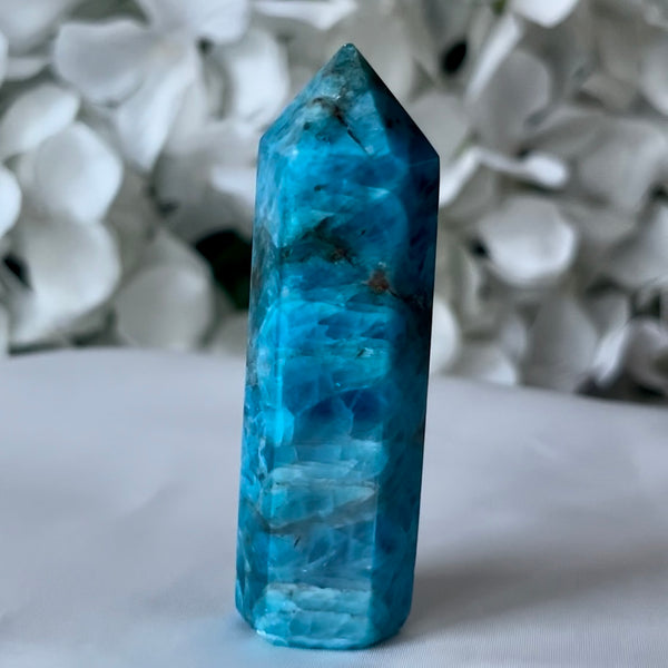 Blue Apatite Point - Intuition & Enlightenment Crystals
