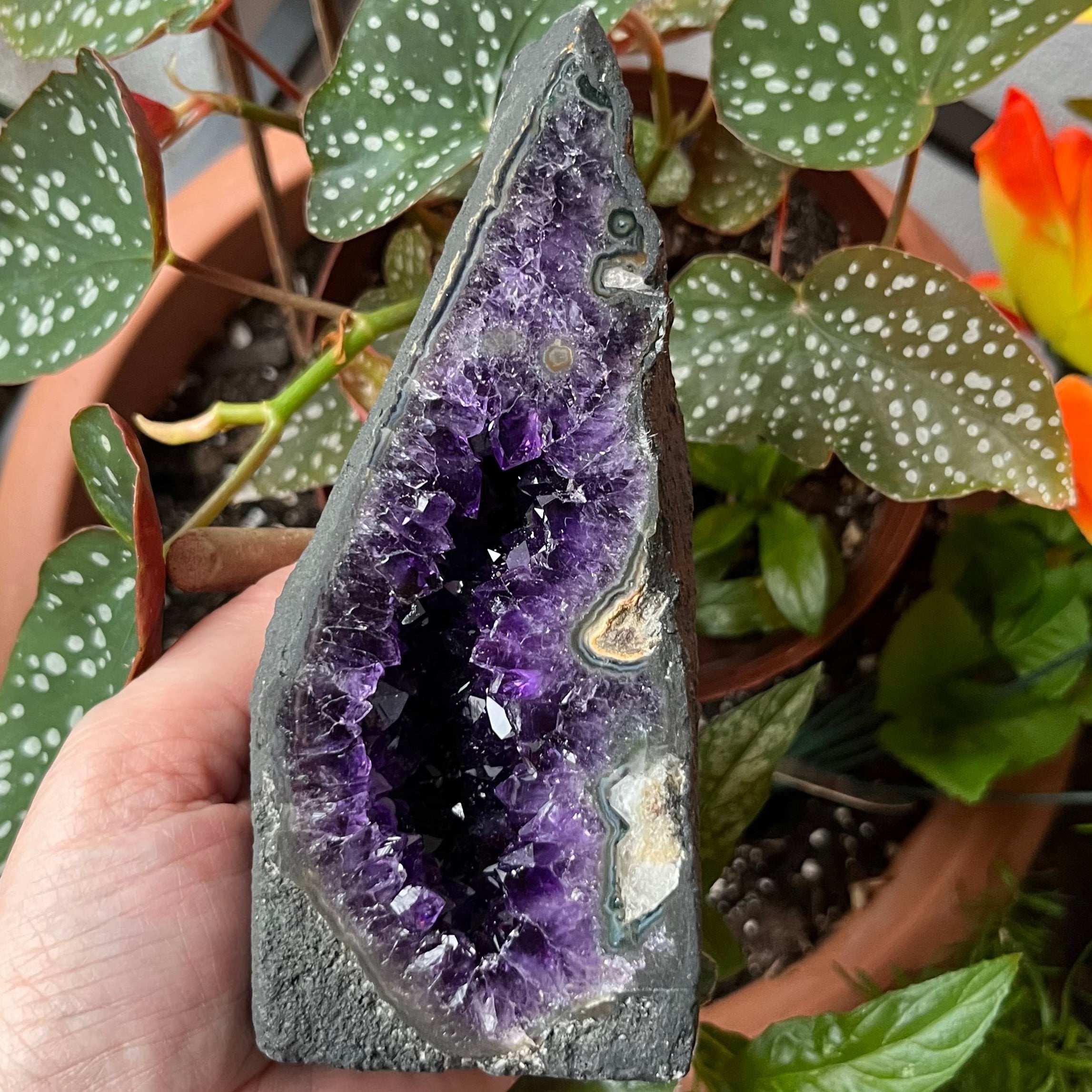 Amethyst Mini Church Crystals
