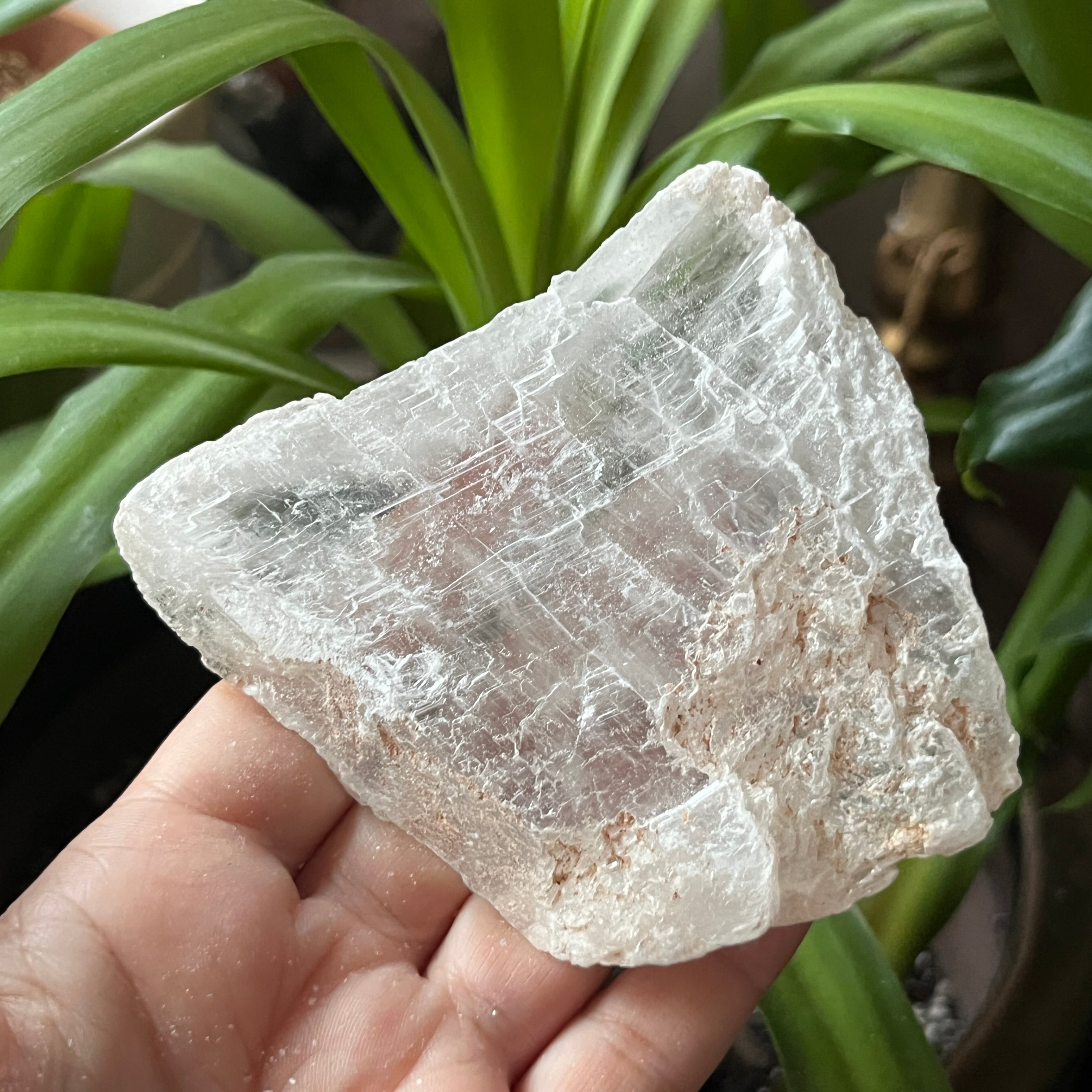 Rough Selenite Gypsum - Cleansing & Purification