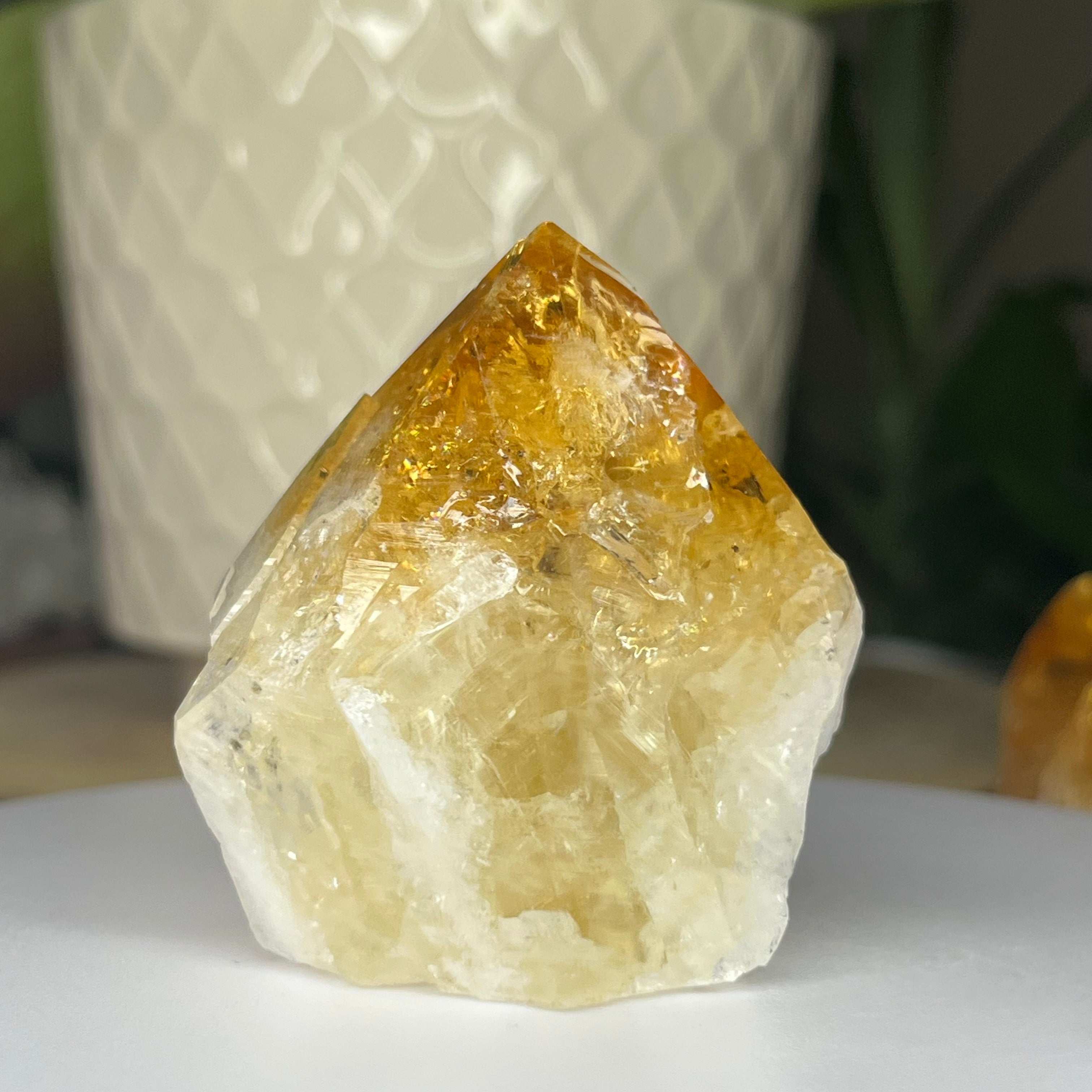 Citrine Cut Base Point (Heat Treated) - Abundance & Success 4- 5.2cm x 4.7cm Crystals