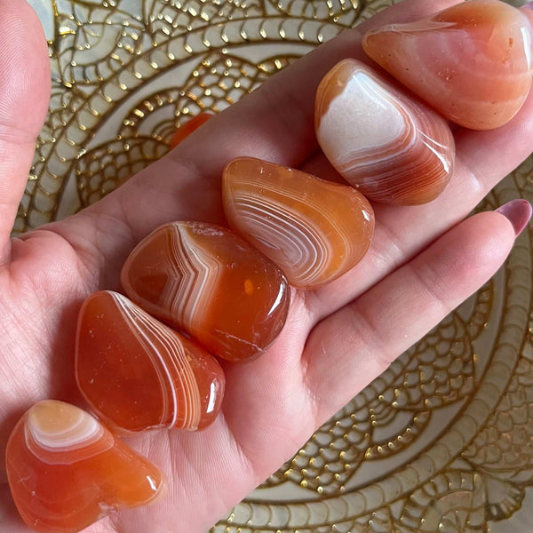 Banded Carnelian Tumblestones - Vitality & Courage Large Crystals
