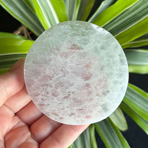 Selenite round charging plate in hand, showcasing its cleansing and purifying properties amid green plant leaves.